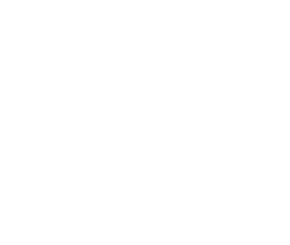 Crocodiles Text